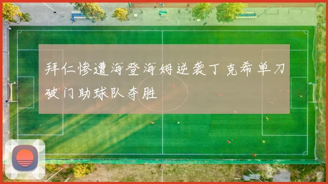 拜仁惨遭海登海姆逆袭丁克希单刀破门助球队夺胜